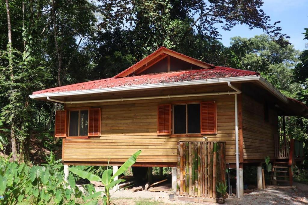 Jungle Beach 2 Bedroom Cottage 보카스 타운 외부 사진