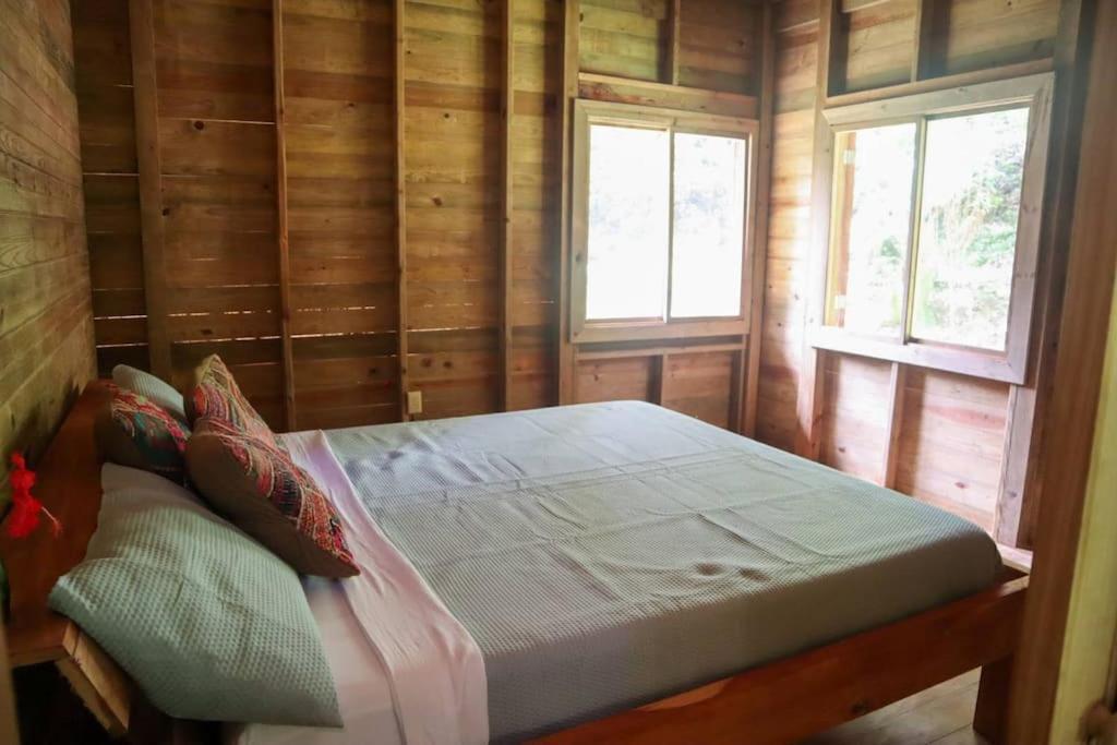 Jungle Beach 2 Bedroom Cottage 보카스 타운 외부 사진
