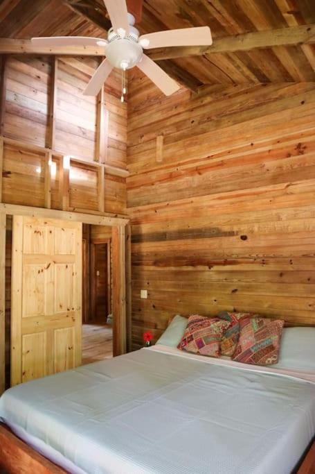 Jungle Beach 2 Bedroom Cottage 보카스 타운 외부 사진