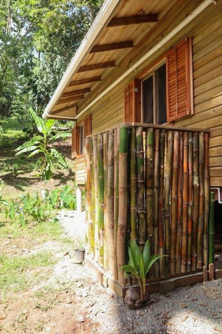 Jungle Beach 2 Bedroom Cottage 보카스 타운 외부 사진